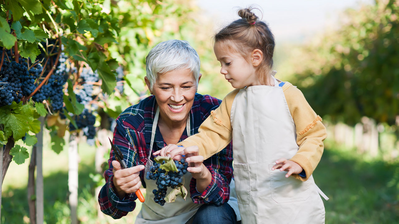 Financial planning for agriculture and farming
